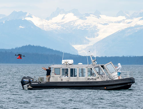 What makes our whale watching tour unique is our use of drone photography and giving our guests a very unique souvenir to take home!